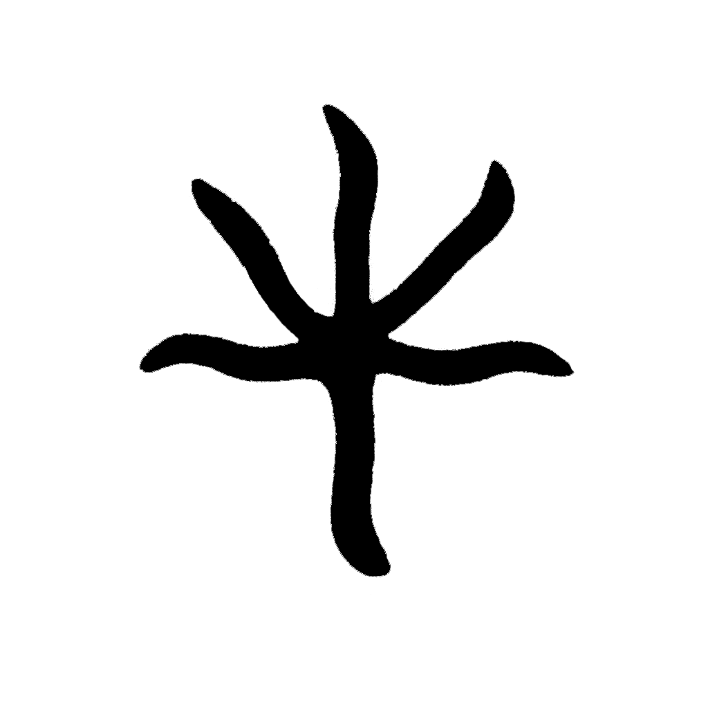 SOZU CAPITAL